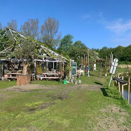 With Garden Near Forest, And Sea