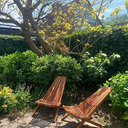 With Garden Near Forest, And Sea