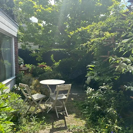 With Garden Near Forest, And Sea Noordwijkerhout