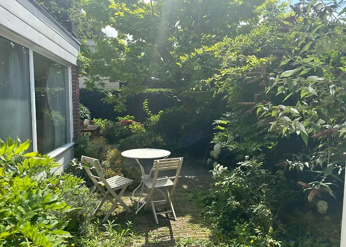 Near Noordwijk Нордвейкерхаут