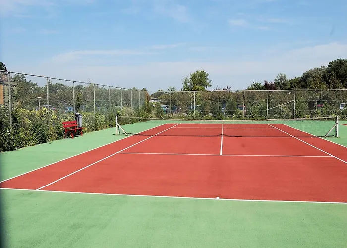 Near Noordwijk Noordwijkerhout